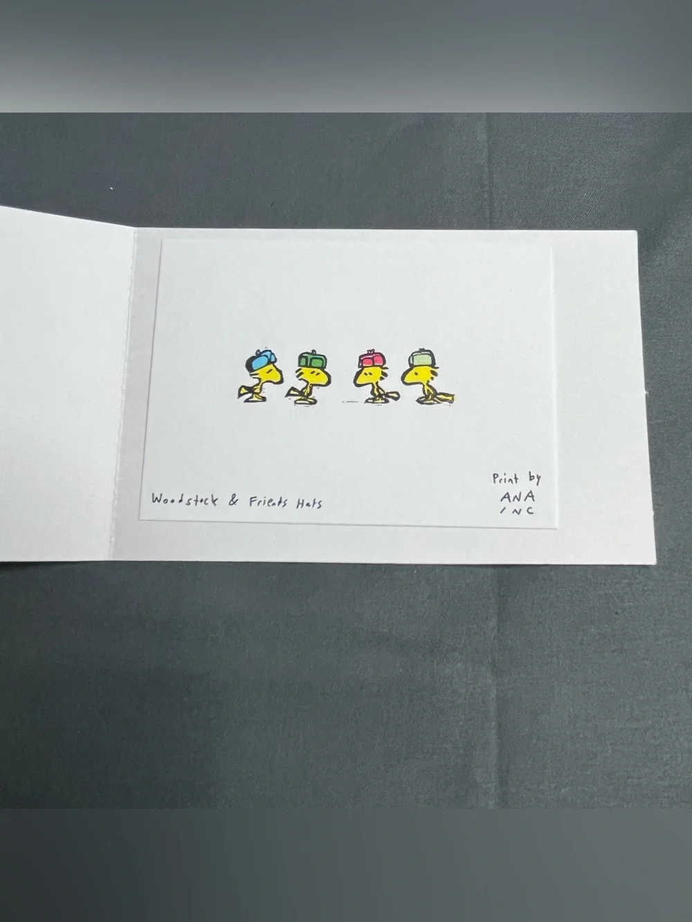 SNOOPY In Style x Ana Inciardi Prints Full Set of 5 Peanuts Fashion NYC Theme